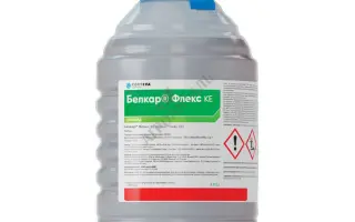 Белкар Флекс, КЕ, гербіцид