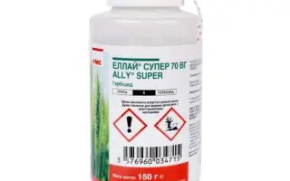 ЕЛЛАЙ СУПЕР 70, ВГ