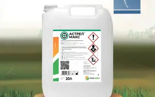 Астрел Макс (Astrel Max)