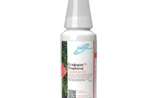 Етафорон, ВГ