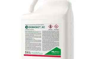 ЕКВІНОКС, КС