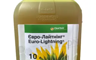 Євро-лайтнінг, в.р.