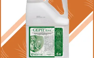 Серп, в.р.к., (імазетапір, 100 г/л)