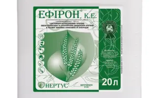 Ефірон