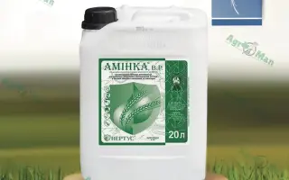 Амінка Плюс