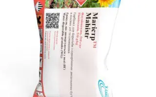 Магістр, в.р.к.