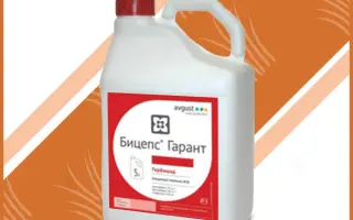 БИЦЕПС ГАРАНТ К.Е.