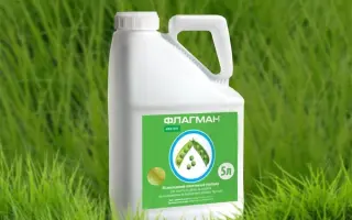 Флагман, в.р., (бентазон, 480 г/л)