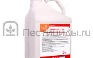 ДИАМАНТ В.Р.