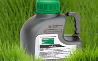 Ланселот 240 г/л + ПАР Стаф