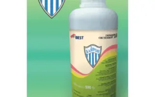 Байрон, в.г., + ПАР Йорк