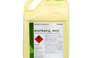 Форвард, мк.е.