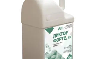 Директор, в.р.