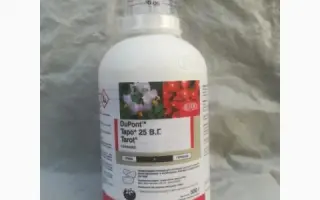 Таро 25 в.г., + ПАР Тренд 90