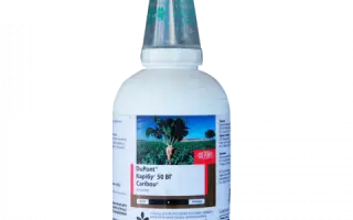 КАРІБУ 50, З.П., + ПАР ТРЕНД 90