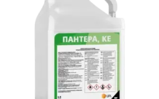 Пантера к.е.