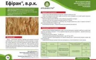 Ефіран в.р.к.