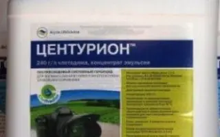 Центуріон к.е гербіцид з поверхневою-активною речовиною «Аміго»