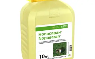 НОПАСАРАН К.С.