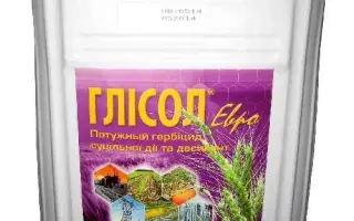 Глісол Євро