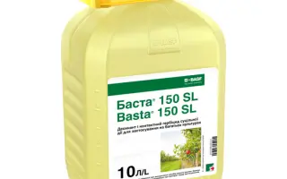 Баста 150 в. р.