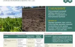 Глиацинт в.р.