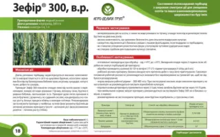 Зефір 300 в.р.