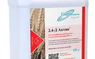 2,4-Д-актив