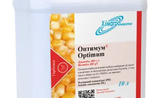 Оптимум в.р.