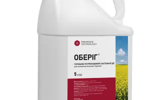 Оберіг Гранд к.е.