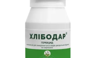 Хлібодар,с.е.