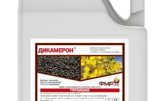 ДИКАМЕРОН В.Р.