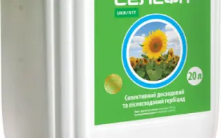 Селефіт к.с.