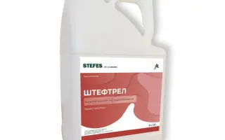 ШТЕФТРЕЛ В.Р.