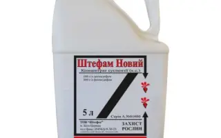 Штефам Новий к.с.