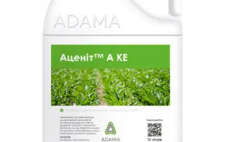 Аценіт А 880 к.е., гербіцид (Ацетохлор 880 г/л+антидот АД-67)