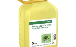 Фронтьєр Оптіма к.с.