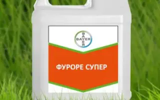 Фуроре Супер м.в.е.