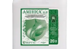 Амінка Плюс