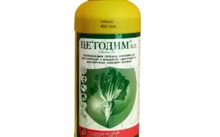 Цетодим к.е., гербіцид з поверхнево активною речовиною «Фофір» (