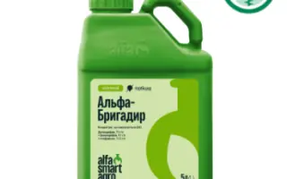 Бригадир к.е.