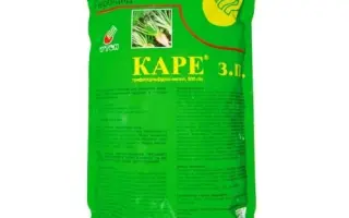 КАРЕ З.П., ГЕРБИЦИД З ПОВЕРХНЕВО-АКТИВНОЮ РЕЧОВИНОЮ «ТАЛАНТ»