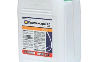 Примекстра TZ Голод 500