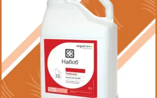 Набоб в.р.к.