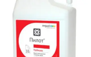 ПИЛОТ В.С.К.