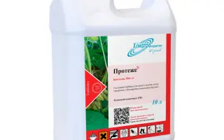 Харвест к.е.