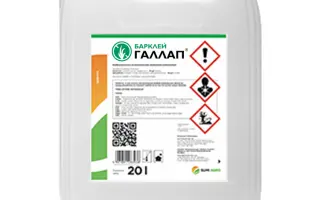 Барклей Галлап 360