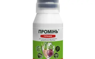 Промінь к.е.