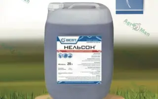 Нельсон к.с.