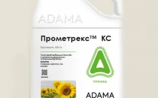 Прометрекс 50 к.с.